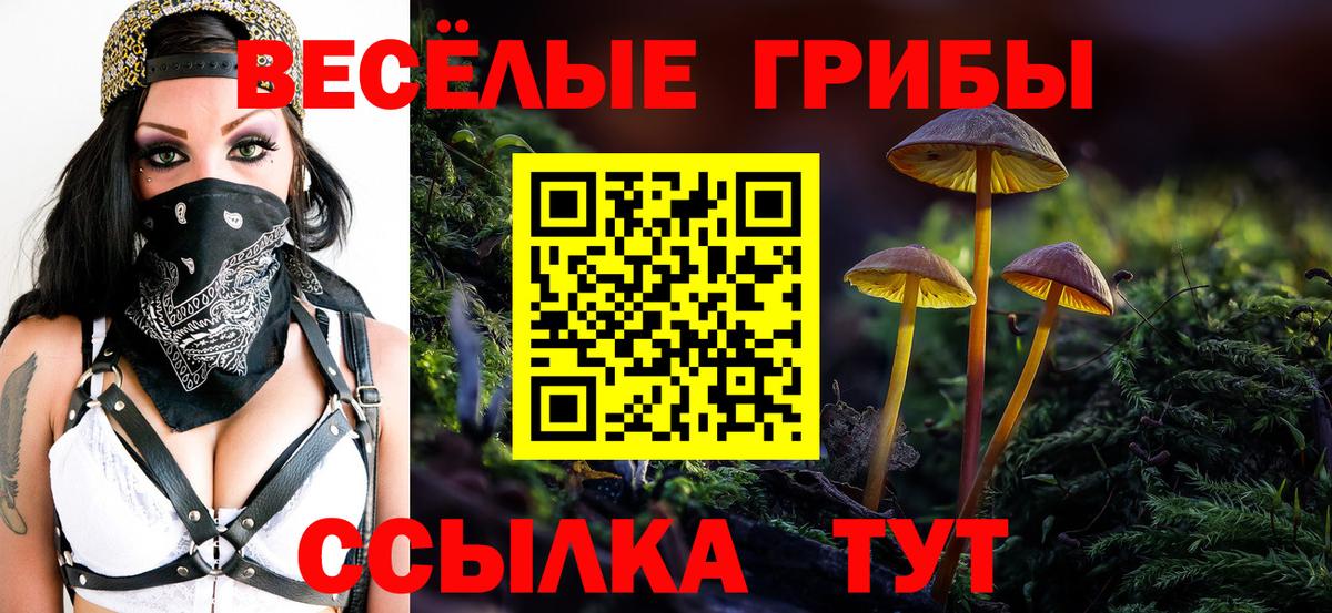 Псилоцибиновые грибы Psilocybe  Вход с VPN  Грозный 