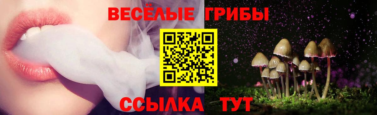 Псилоцибиновые грибы MAGIC MUSHROOMS Грозный