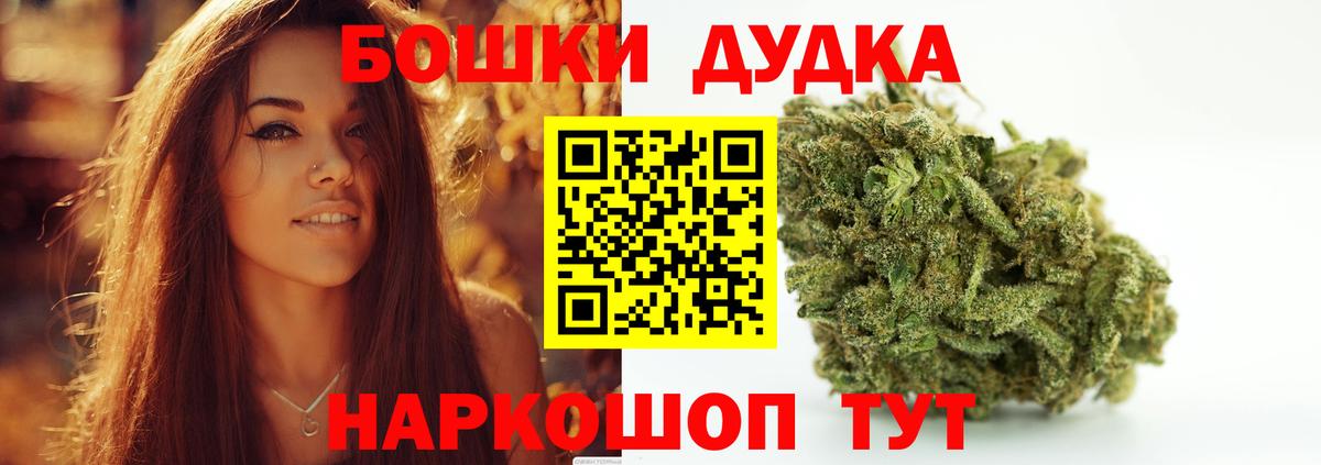 Канабис конопля Грозный